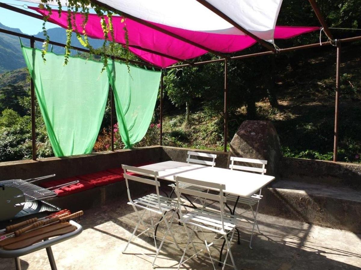 Appartement Raffine A Feliceto 120 M² Avec Vue Sur Montagne Buitenkant foto