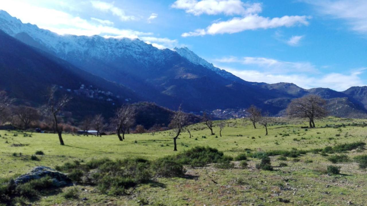Appartement Raffine A Feliceto 120 M² Avec Vue Sur Montagne Buitenkant foto