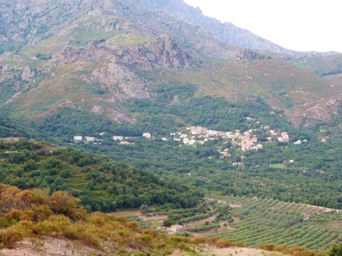 Appartement Raffine A Feliceto 120 M² Avec Vue Sur Montagne Buitenkant foto